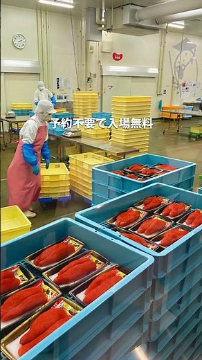 子どもも楽しめる工場見学7選