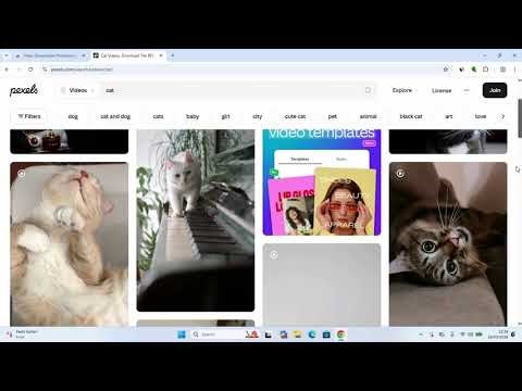 How to Download Any Video From Any Site On PC
