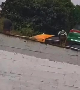 23K views · 57 reactions |  #NACIONAL #ULTIMOMOMENTO #SOS HALLAZGO...