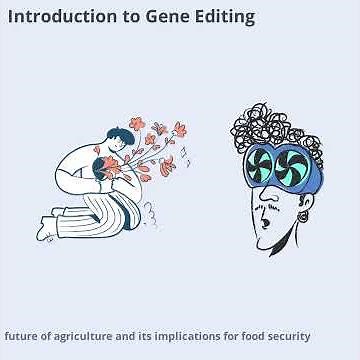 Gene Editing in Agriculture Implications for Food Security