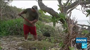 48 reactions |  #FrenchPolynesia is made up of over 100 islands, some of which are comprised of ring-shaped coral reefs called atolls, which are particularily susceptible to the threats of #climatechange. A #FOCUS report by France 2 adapted into English by Lauren Bain ⤵️ | FRANCE 24 English | Facebook