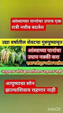 उद्या मार्गशीर्ष महिन्यातील तिसरा गुरुवार गुरुपुष्यामृत योग करा हा आंब्याच्या पानांचा उपाय#trending