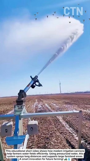 1K views | Extreme Tree Harvester Machine in Action | Simple Vibe | Facebook