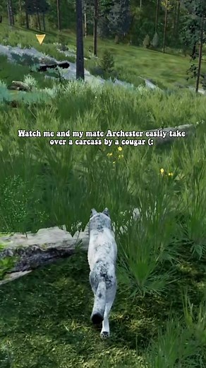 What I did here was actually wrong, I shouldnt have went straight into biting, so what I advice you to do is growl before going into attack. If the animal still doesnt to give a few bites. If it STILL doesnt go away Its better to hunt something else as its danger for u and ur mate (: #forupage #fyp #wq #wolfquest #wolfquestanniversaryedtition #wolf #wolves #wolfpups #pups #pupsoftiktok #fav #blowup #wolfquestanniversaryedition #thisbetternotflop #goviral #fypppp #fypppp #fyyyy #fyyyy #fypシ