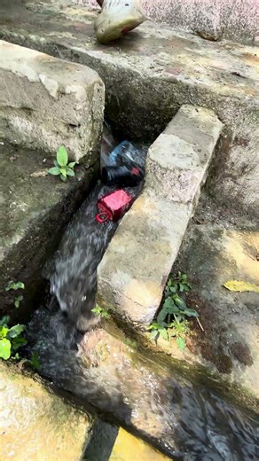 Jbl water test with Jbl multiple speaker