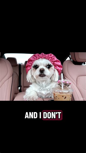 When you’re too broke for presents and too tired for thoughts. 🎄💸 #sniffanyglitta #fyp #dogsoftiktok #veo3 #relatableaf