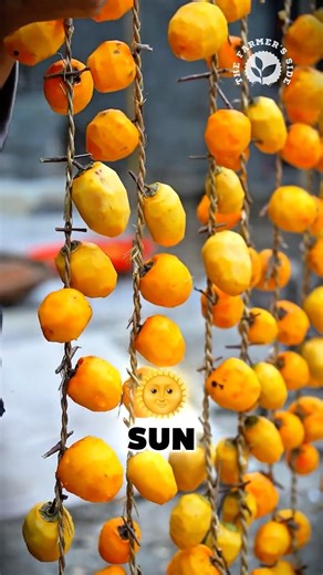 Strange Method of Preparing Persimmons 🍑 #persimmon #autumn #dryfruits #fruitlovers