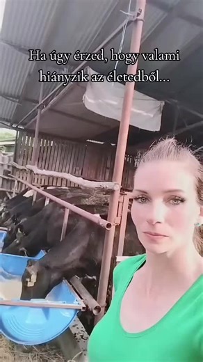 #állattartás #bika #foryou