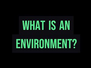 What is an Environment?
