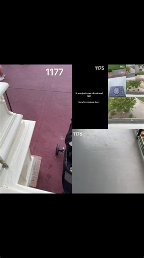 #duet with @Owl sunset part 1177 Disney Day 1 - Magic Kingdom