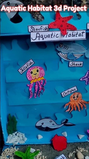 Aquatic Habitat 3d Project