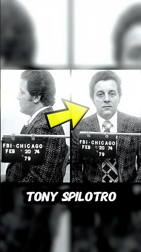 Did you know… Casino (1995)