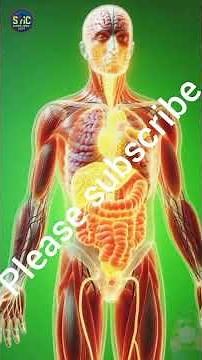 Indian Gooseberry (Amla) Benefits Explained | Amla Juice Effects on Body | 3D Medical Animation #aml