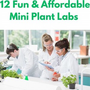 Plant Experiments  14 Hands on Labs Middle School Science