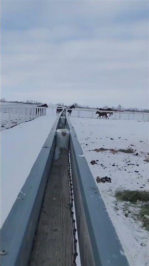 racing around with the big kids