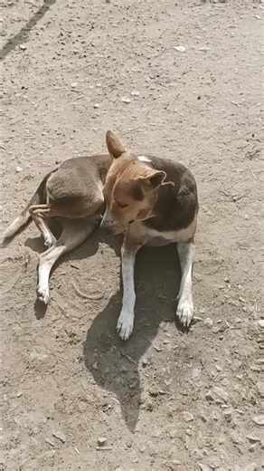 இனிமேல் என் குடிக்க மாட்டேன் 🤣🤣🤣