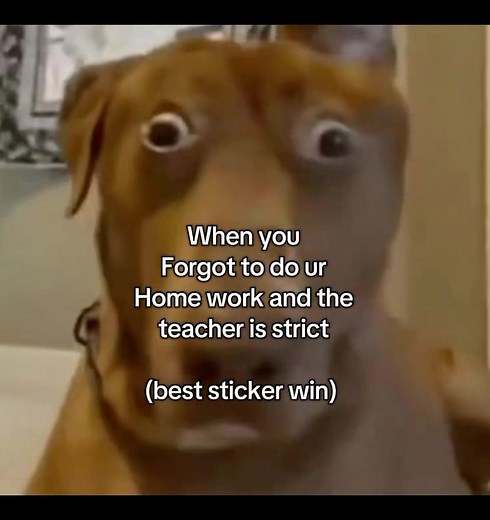Reaction When You Forget Homework — Funny Classroom Meme