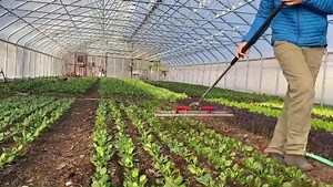 20 reactions | Here’s video of a flex fine weeder in action. It will...