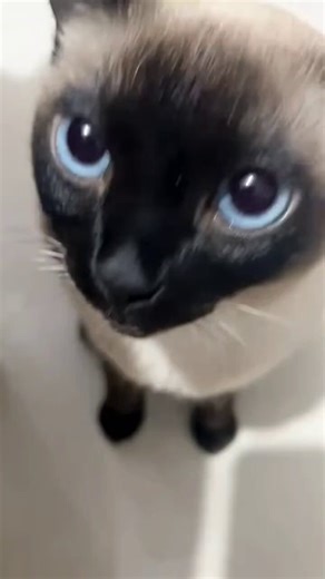 Goob morning