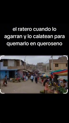 Osito Cariñosito Peruano con Humor