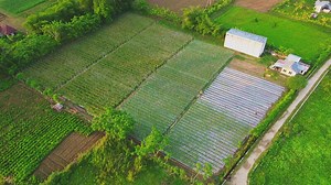 Aerial View of Agricultural Fields and Farmhouse.