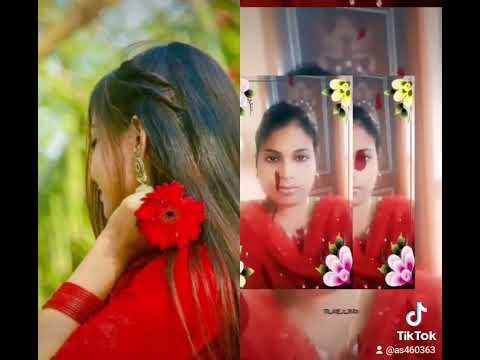 ১১ এপ্রিল, ২০২৬