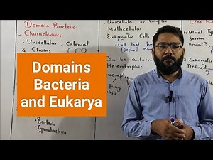 Three Domains of Life | Domain Bacteria & Domain Eukarya | Class 9 Biology