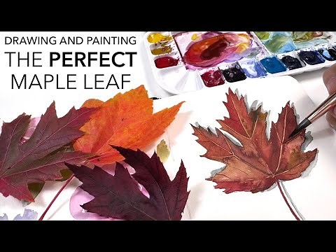Drawing And Painting The PERFECT maple Leaf - Made EASY!