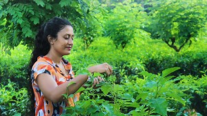 The story of Ginger Watch my all videos : https://www.youtube.com/channel/UCtVDQNGBmS8DTP5fPzM_GmQ | Poorna - The nature girl