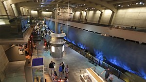 Museum of Science and Industry offering free tours of German submarine U-505 on 75th anniversary of its capture