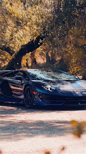 4K 120fps Lamborghini Driving Experience