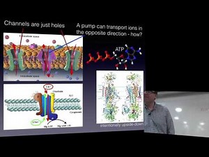Biophysical chemistry 2017 - lecture 1
