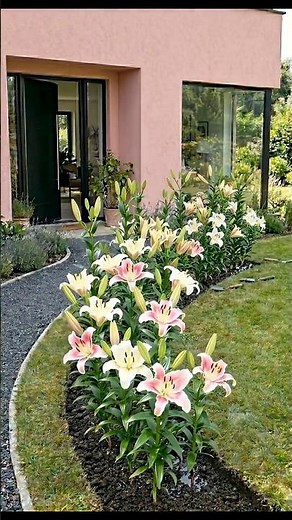 🌿 Transforming a Backyard Into a Stunning Garden Bed | Easy DIY Landscaping Makeover