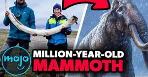 Top 20 Archeological Discoveries of The Century (So Far) | Articles on WatchMojo.com