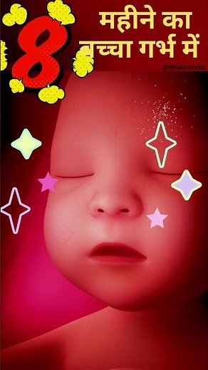 8th Month Baby in the Womb Video