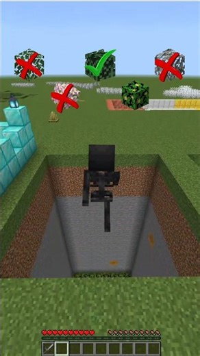 Which Minecraft block wither skeleton survive?🤯 #catmeme