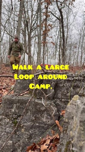 How to Keep Wild Hogs Away From Your Campsite (Simple Trick)