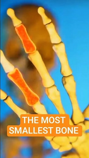 So you know the smallest bone in you body? 🤔