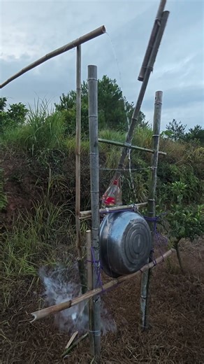 Bird repellent device sound effect display