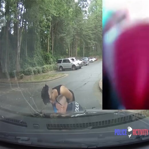 558K views · 4.3K reactions | Sandra Dillon on Reels | Facebook