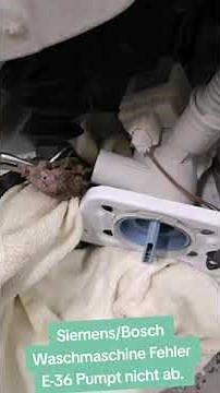 Bosch Siemens Waschmaschine Fehler E36- 26 Waschmaschine pumpt nicht ab