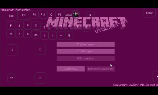 Minecraft Reflection