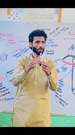 10K views · 195 reactions | Sir Junaid is indeed a paragon of an educator! His teaching methods and passion for teaching are truly outstanding, and his presence at the institution is undoubtedly helping students groom and learn. Proud of you  keep it up  #hksc #wari #dir #junaid #education | The Home of Knowledge School and College, Wari Dir Upper | Facebook
