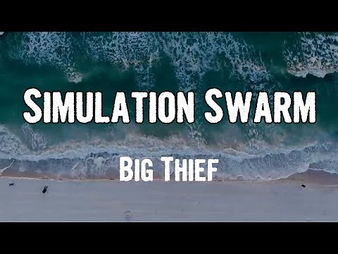 Big Thief - Simulation Swarm (Lyrics)