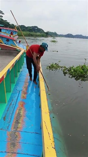 #amazingfishing #fishing