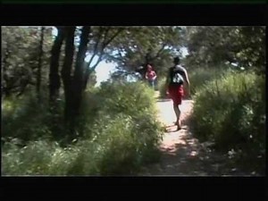 Vídeo Nº 1 [Cruising] (1999)