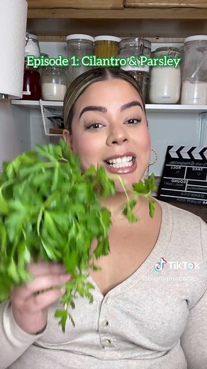 Cilantro vs Coriander: Kitchen Facts Explained by Big Mama Cooks