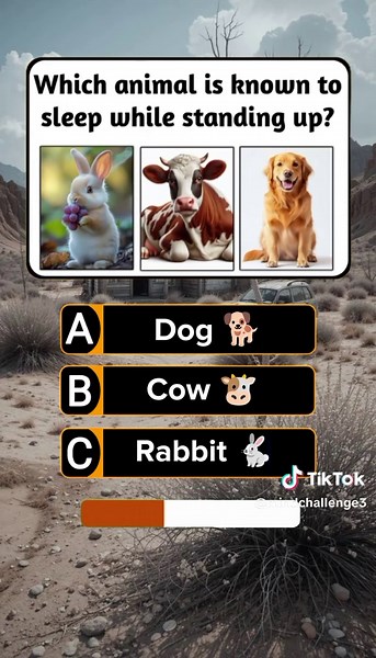 Fun Animal Trivia Questions and Answers