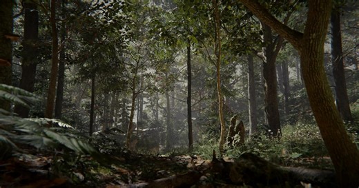 Get This High-Quality Forest Creation Bundle For Unity