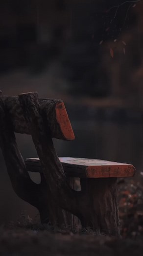 Rustic Wooden Bench in Serene Outdoor Setting